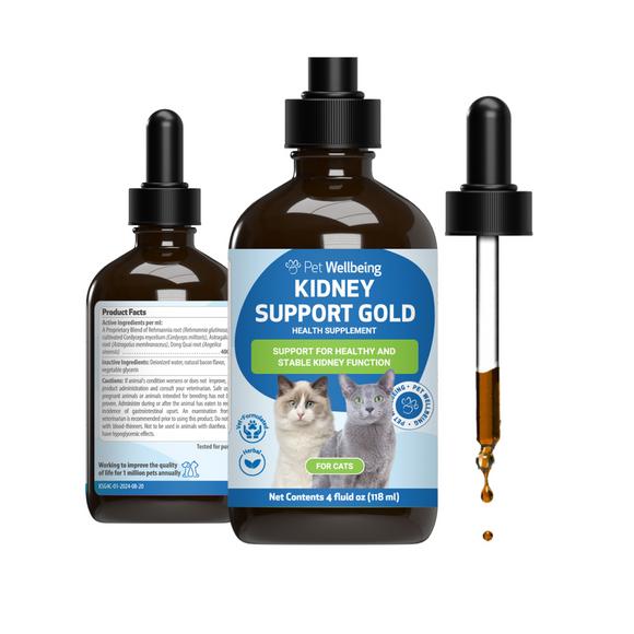 Pet Wellbeing Kidney Support Gold for Cats - Cat Supplements & Vitamins 11
