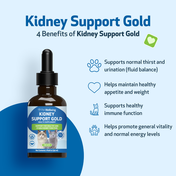 Pet Wellbeing Kidney Support Gold for Cats - Cat Supplements & Vitamins 4