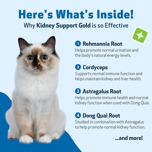 Pet Wellbeing Kidney Support Gold for Cats - Cat Supplements & Vitamins 6