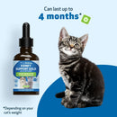 Pet Wellbeing Kidney Support Gold for Cats - Dog Vitamins & Supplements 12
