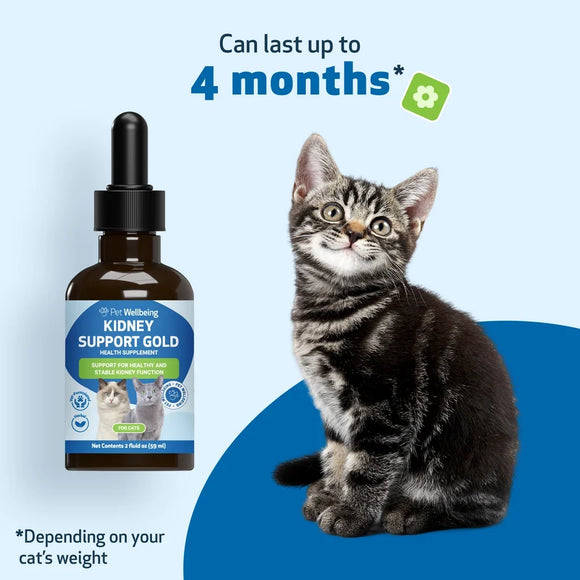 Pet Wellbeing Kidney Support Gold for Cats - Dog Vitamins & Supplements 12