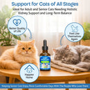 Pet Wellbeing Kidney Support Gold for Cats - Dog Vitamins & Supplements 10