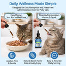 Pet Wellbeing Kidney Support Gold for Cats - Dog Vitamins & Supplements 5