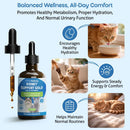 Pet Wellbeing Kidney Support Gold for Cats - Dog Vitamins & Supplements 3