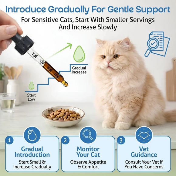 Pet Wellbeing Kidney Support Gold for Cats - Dog Vitamins & Supplements 8