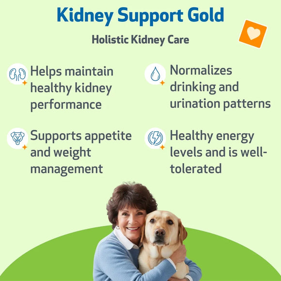 Pet Wellbeing Kidney Support Gold for Dogs - Cat Supplements & Vitamins 4