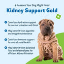 Pet Wellbeing Kidney Support Gold for Dogs - Cat Supplements & Vitamins 5