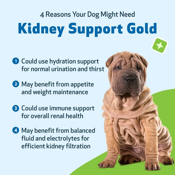 Pet Wellbeing Kidney Support Gold for Dogs - Cat Supplements & Vitamins 5