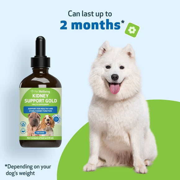 Pet Wellbeing Kidney Support Gold for Dogs - Cat Supplements & Vitamins 13