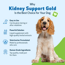 Pet Wellbeing Kidney Support Gold for Dogs - Dog Vitamins & Supplements 2