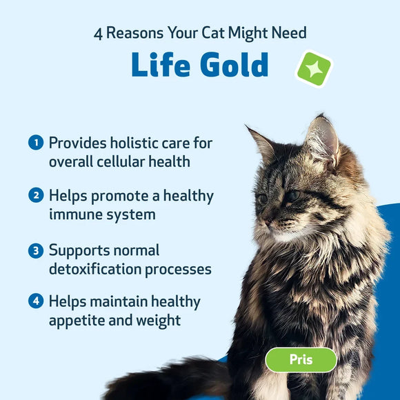Pet Wellbeing Life Gold for Cats - Cat Supplements & Vitamins 6
