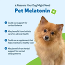 Pet Wellbeing Pet Melatonin for Dogs - Dog Supplements & Vitamins 4