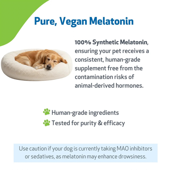Pet Wellbeing Pet Melatonin for Dogs - Dog Supplements & Vitamins 8