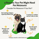 Pet melatonin for dogs