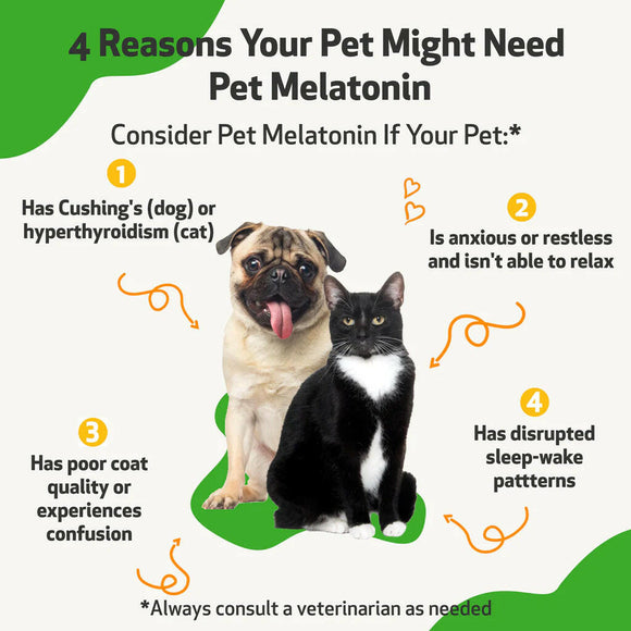 Pet melatonin for dogs