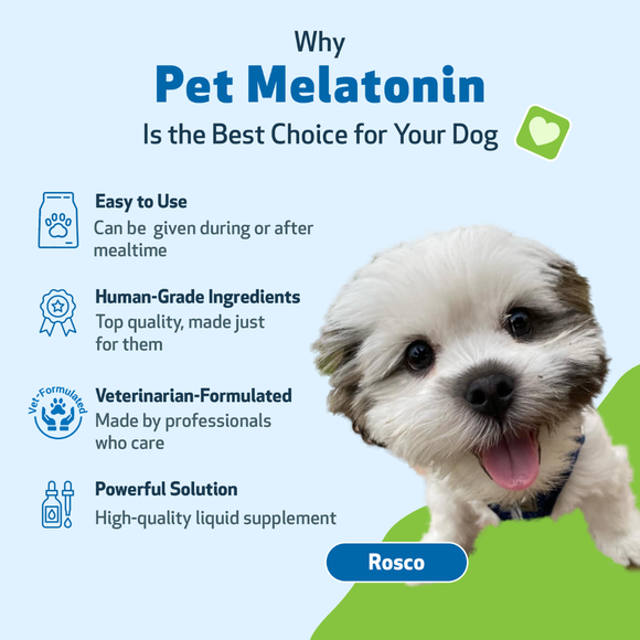 Pet Wellbeing Pet Melatonin for Dogs - Dog Supplements & Vitamins 6