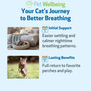 Pet Wellbeing Respir-Gold for Easy Breathing in Cats 2-oz - Cat Supplements & Vitamins 6