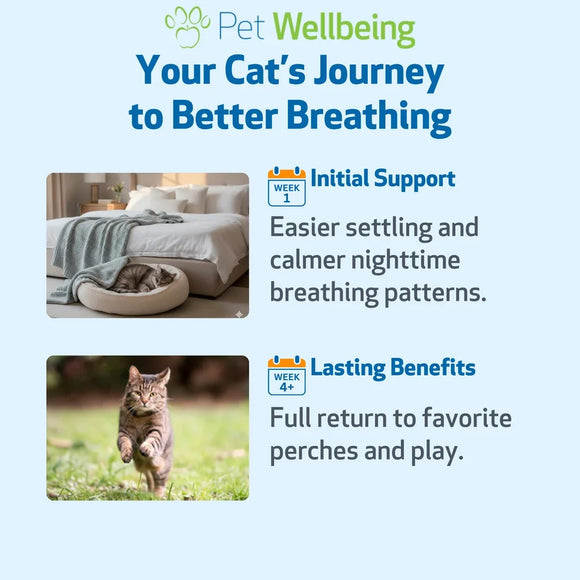 Pet Wellbeing Respir-Gold for Easy Breathing in Cats 2-oz - Cat Supplements & Vitamins 6