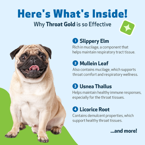 Pet Wellbeing Throat Gold for Throat Irritation in Dogs - Dog Supplements & Vitamins 4