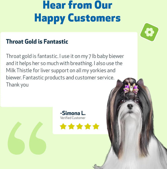 Pet Wellbeing Throat Gold for Throat Irritation in Dogs - Dog Supplements & Vitamins 9