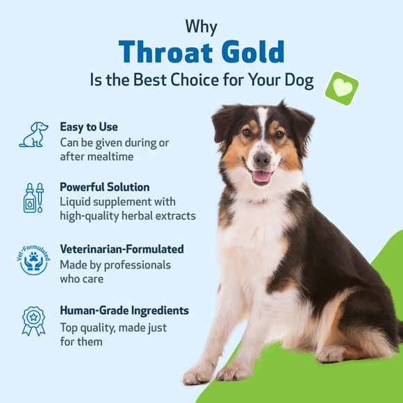 Pet Wellbeing Throat Gold for Throat Irritation in Dogs - Dog Supplements & Vitamins 5