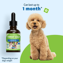 Pet Wellbeing Throat Gold for Throat Irritation in Dogs - Dog Supplements & Vitamins 6
