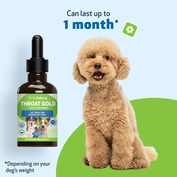Pet Wellbeing Throat Gold for Throat Irritation in Dogs - Dog Supplements & Vitamins 6