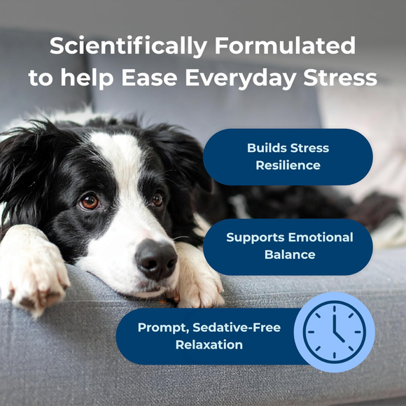 PetAg Dyne Calming Supplements for Dogs (60 Soft Chews) - Dog Vitamins & Supplements 4