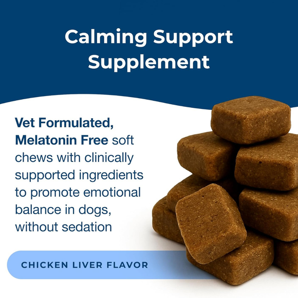 PetAg Dyne Calming Supplements for Dogs (60 Soft Chews) - Dog Vitamins & Supplements 3
