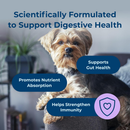 PetAg Dyne Digestion & Immune Supplements for Dogs (60 Soft Chews) - Dog Vitamins & Supplements 5