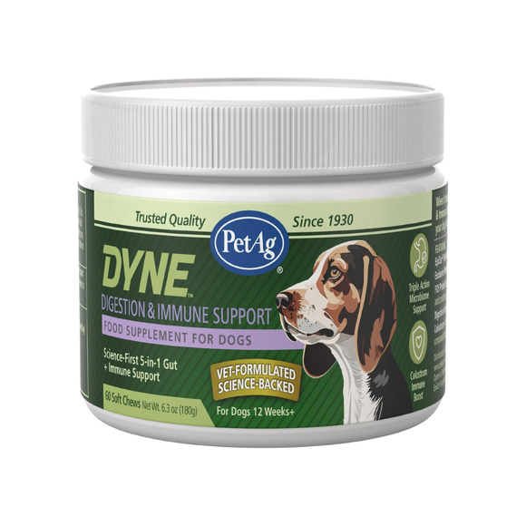PetAg Dyne Digestion & Immune Supplements for Dogs (60 Soft Chews) - Dog Vitamins & Supplements 1