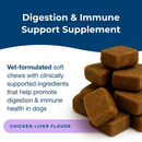PetAg Dyne Digestion & Immune Supplements for Dogs (60 Soft Chews) - Dog Vitamins & Supplements 3