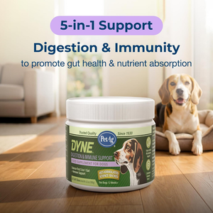PetAg Dyne Digestion & Immune Supplements for Dogs (60 Soft Chews) - Dog Vitamins & Supplements 2