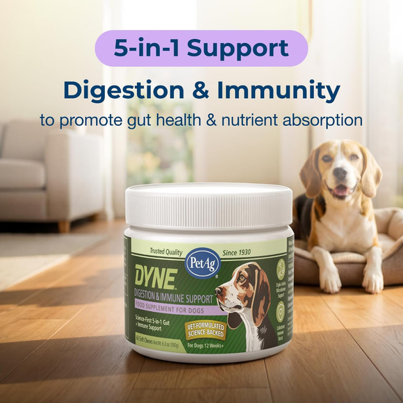 PetAg Dyne Digestion & Immune Supplements for Dogs (60 Soft Chews) - Dog Vitamins & Supplements 2