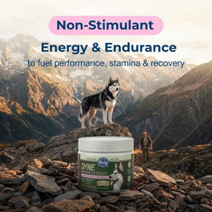 PetAg Dyne Endurance & Vitality Supplements for Dogs (60 Soft Chews) - Dog Vitamins & Supplements 2