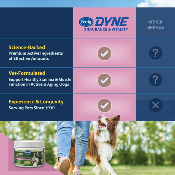 PetAg Dyne Endurance & Vitality Supplements for Dogs (60 Soft Chews) - Dog Vitamins & Supplements 7