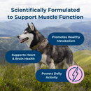 PetAg Dyne Endurance & Vitality Supplements for Dogs (60 Soft Chews) - Dog Vitamins & Supplements 3