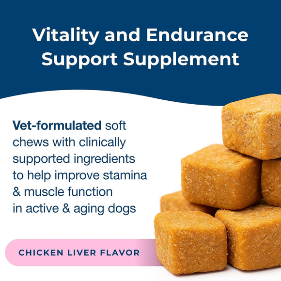 PetAg Dyne Endurance & Vitality Supplements for Dogs (60 Soft Chews) - Dog Vitamins & Supplements 6