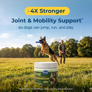 PetAg Dyne Joint Health & Mobility Supplements for Dogs (60 Soft Chews) - Dog Vitamins & Supplements 2