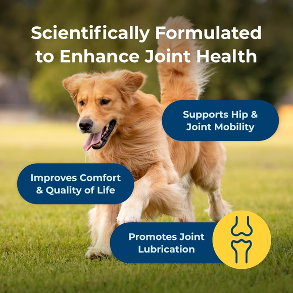 PetAg Dyne Joint Health & Mobility Supplements for Dogs (60 Soft Chews) - Dog Vitamins & Supplements 5