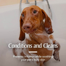 PetArmor Plus Flea & Tick Oatmeal Shampoo for Dogs (18 oz) - Dog Flea Shampoos & Sprays 5