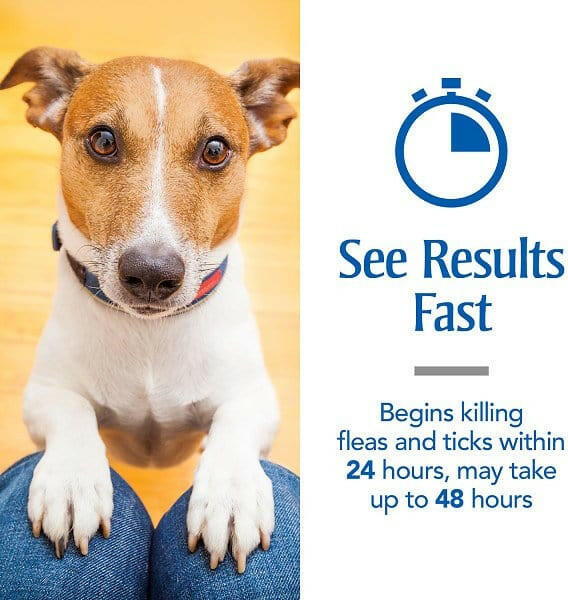 PetArmor Plus Flea & Tick Spot Treatment for Dogs, 45-88 lbs