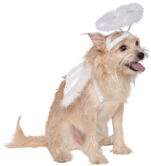 Pets Angel Halo and Wings Costume Set - Small/Medium - Pet Costumes & Accessories 1