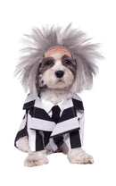 Pets Beetlejuice Costume - Small - Pet Costumes & Accessories 1