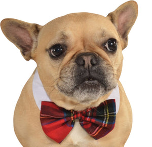 Pets Bow Tie Costume - Various Colors - Small/Medium / Plaid - Pet Costumes & Accessories 1