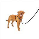 PetSafe 3-in-1 Dog Harness with Car Control Strap, Black, L