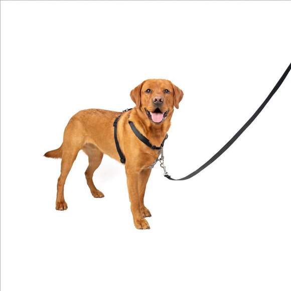 PetSafe 3-in-1 Dog Harness with Car Control Strap, Black, L
