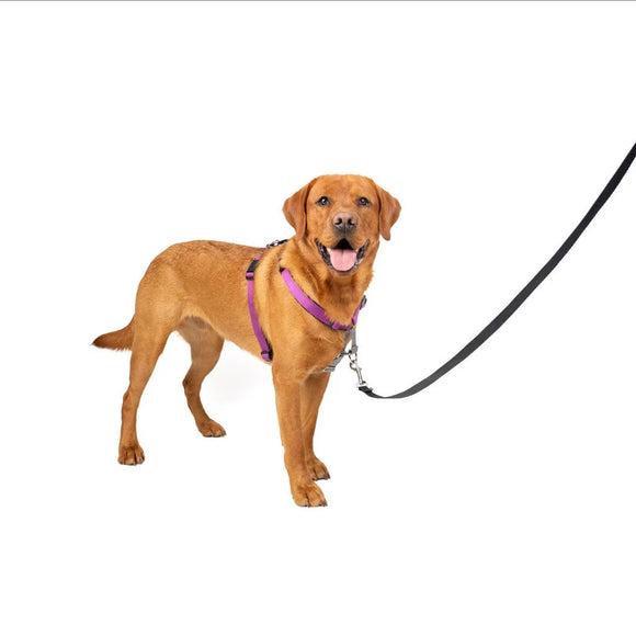 PetSafe 3-in-1 Dog Harness with Car Control Strap, Plum L
