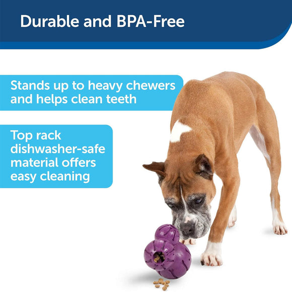 Petsafe Busy Buddy Barnacle Treat Dispenser Tough Dog Chew Toy Purple