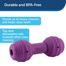 PetSafe Busy Buddy Chuckle Treat Dispenser Dog Toy